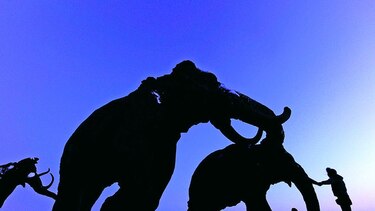 Presencia humana en el Ártico