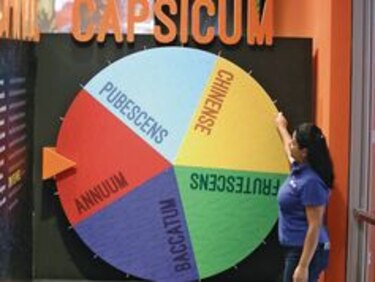 Una historia con sabor y picante