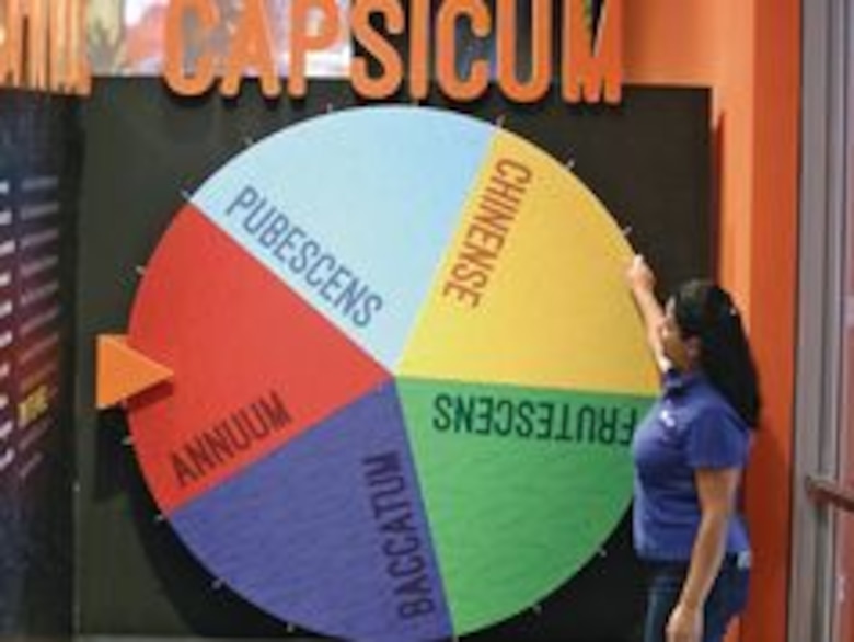 Una historia con sabor y picante