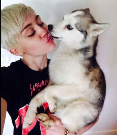 Miley Cyrus vive 'el segundo peor día de su vida' por la muerte de su perro