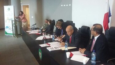 Se inicia período de consultas del proyecto de ley 61