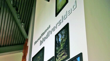 Una meca de arte y ciencia