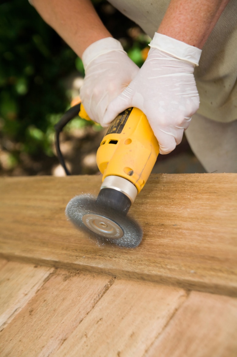 La pinotea radiata es una alternativa para el desarrollo sostenible