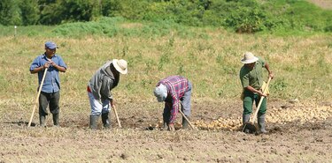 Covid-19 contagia a la agricultura familiar