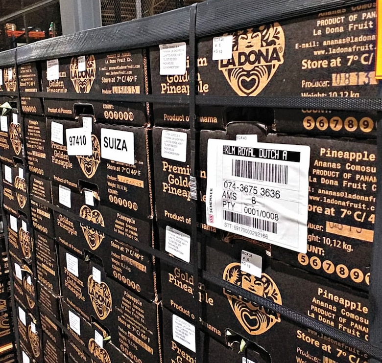 Exportadora de piña sortea la pandemia con más mercados