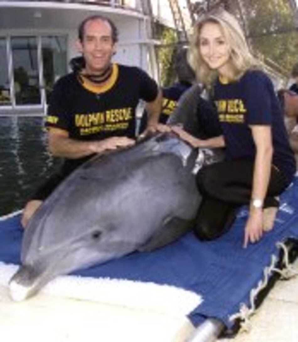 ‘En el primer mundo los delfinarios son prehistoria’