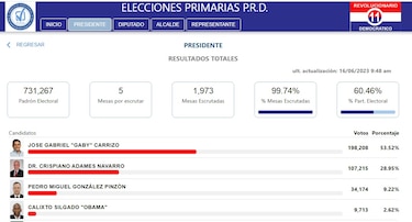 Gaby Carrizo fue electo en unas primarias del PRD con participación de 60%