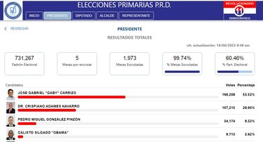 Gaby Carrizo fue electo en unas primarias del PRD con participación de 60%