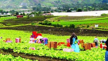 Destinan $50 mil para distrito de Tierras Altas