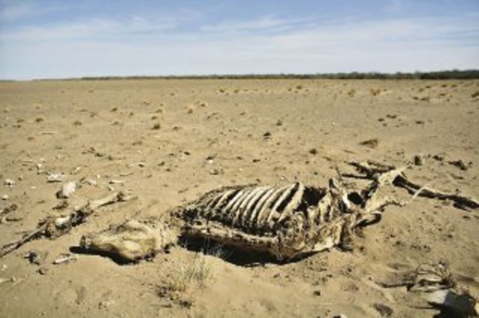 Alarma en Argentina a causa de la sequía