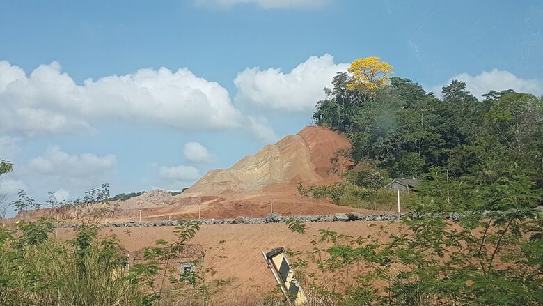 Los 50 años del Día de la Tierra