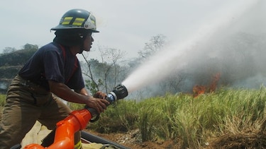 Lanzan campaña para prevenir incendios forestales