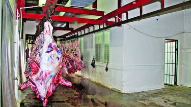 Matarifes protestan ante nueva tasa de sacrificio