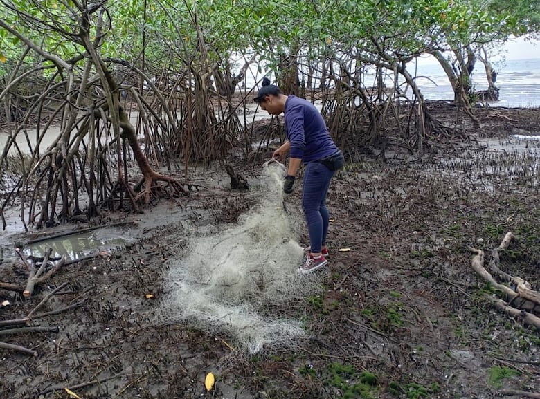Retiran redes fantasmas de manglares en Coclé