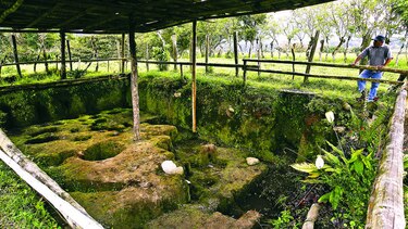 Sitio arqueológico Barriles, en peligro