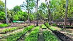 Esperanza germina en San Roquito