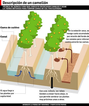 Tras las huellas del pasado en Chinina
