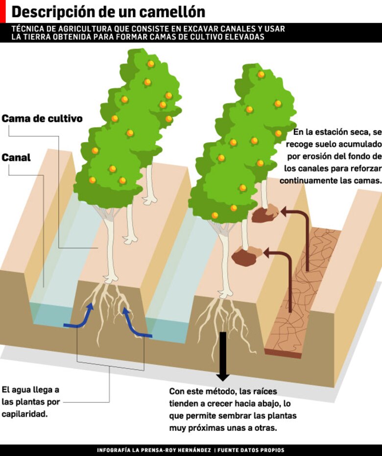Tras las huellas del pasado en Chinina