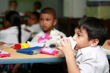 Gabinete aprueba contratación directa de $6.7 millones para crema y leche de estudiantes