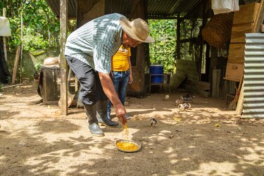 16% de los emprendedores en Panamá cerraron luego de la pandemia