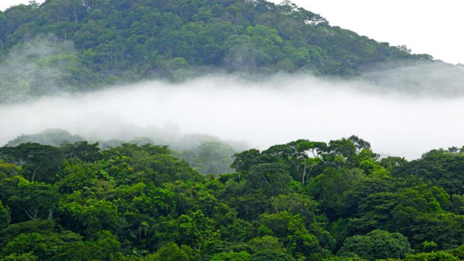 Peligros para el medio ambiente