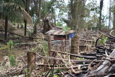 Cuenca gana 11 mil hectáreas de bosque en 10 años, pero siguen latentes riesgos climáticos
