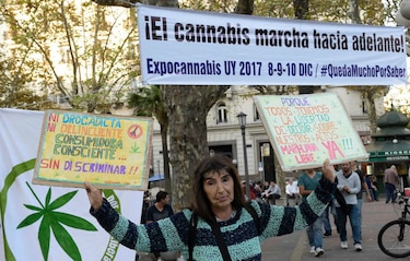 Marcha por la marihuana en Uruguay suma reclamo por cannabis medicinal