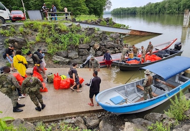 Los gigantes del bosque en el este de Panamá