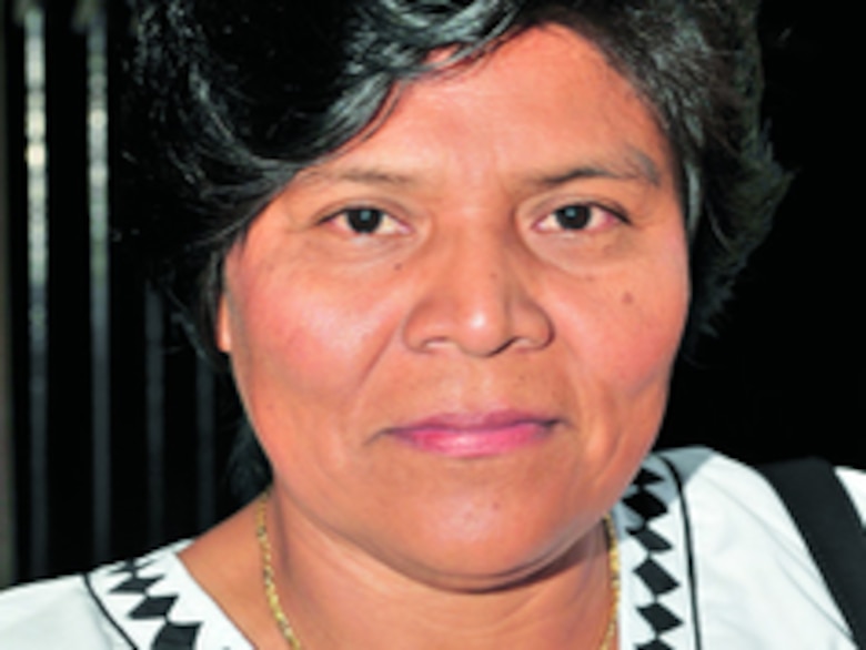 Miles para oenegés de diputados