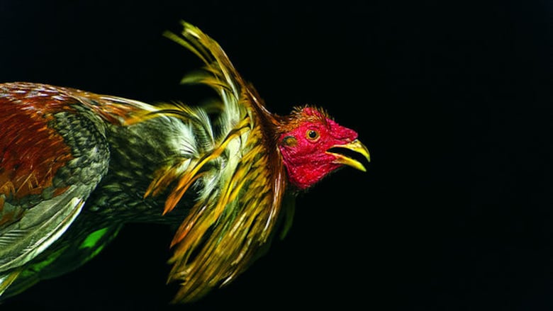 Entre el presente y lo sagrado