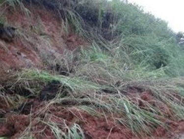 Varias viviendas afectadas por inundaciones en Colón