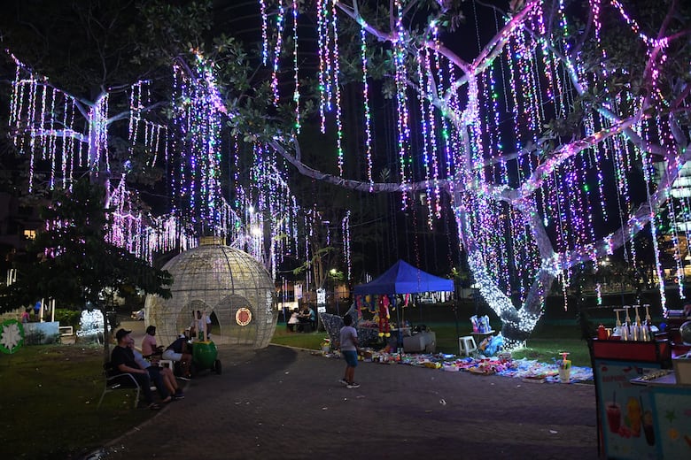 ‘El parque Urracá es un desastre’: Ricardo Domínguez