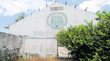 ‘Oro verde’ queda en manos de Del Monte