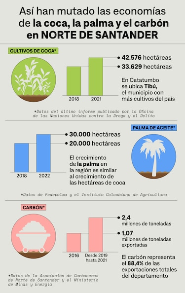 Los rostros del hambre tras la crisis de la coca en Colombia
