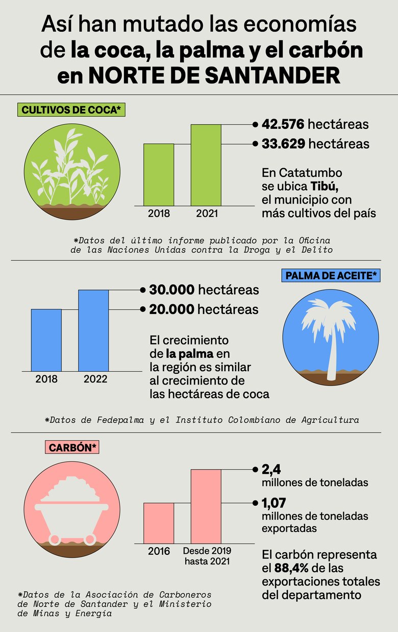 Los rostros del hambre tras la crisis de la coca en Colombia