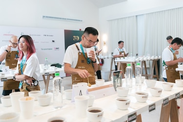 Los reyes del café geisha, estos fueron los ganadores del Best of Panamá 2026