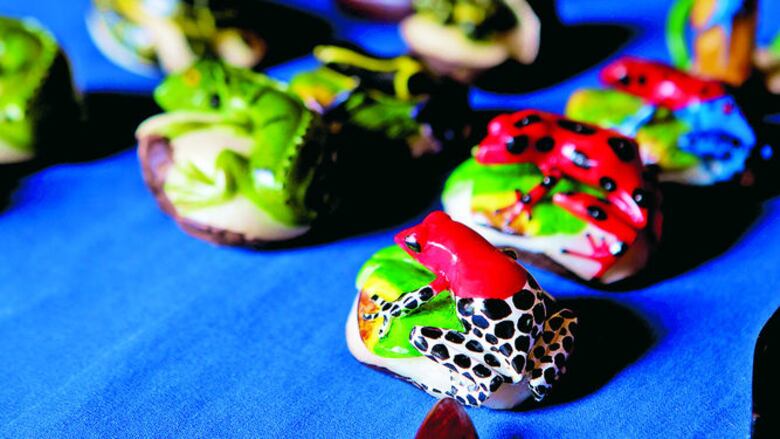 Una visita a Parará Purú