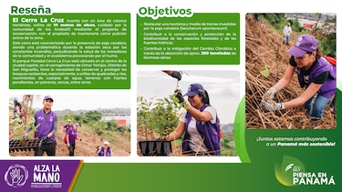 Grupo Rey celebra el Día Nacional de la Reforestación impulsando su campaña de sostenibilidad Piensa en Panamá