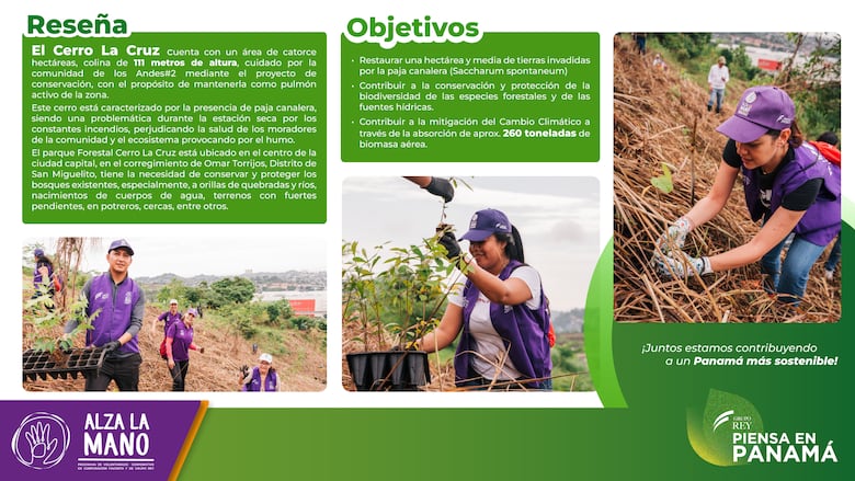 Grupo Rey celebra el Día Nacional de la Reforestación impulsando su campaña de sostenibilidad Piensa en Panamá