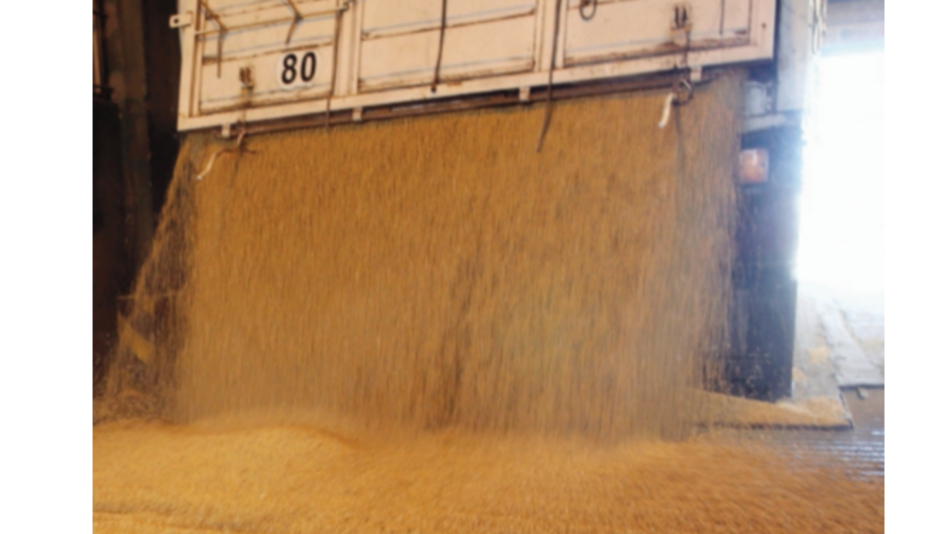 China reducirá importaciones de soja por disputa con EU