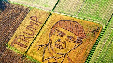 Artista traza retrato de Trump en un campo