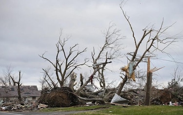 Un muerto y 7 heridos en Illinois tras tornado
