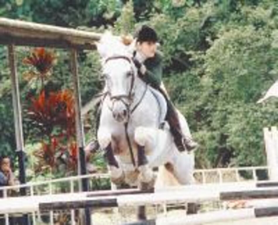 Panameños se destacan en torneo de equitación