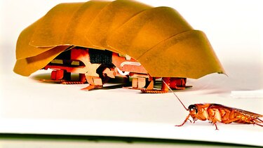 Robot cucaracha para rescates en derrumbes
