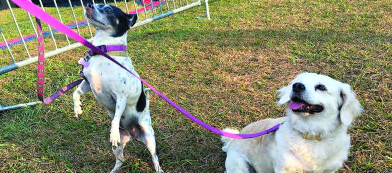 Orión, el futbolista