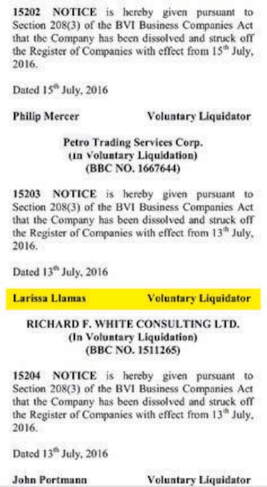 Raúl de Saint Malo, vinculado a compra de helicóptero