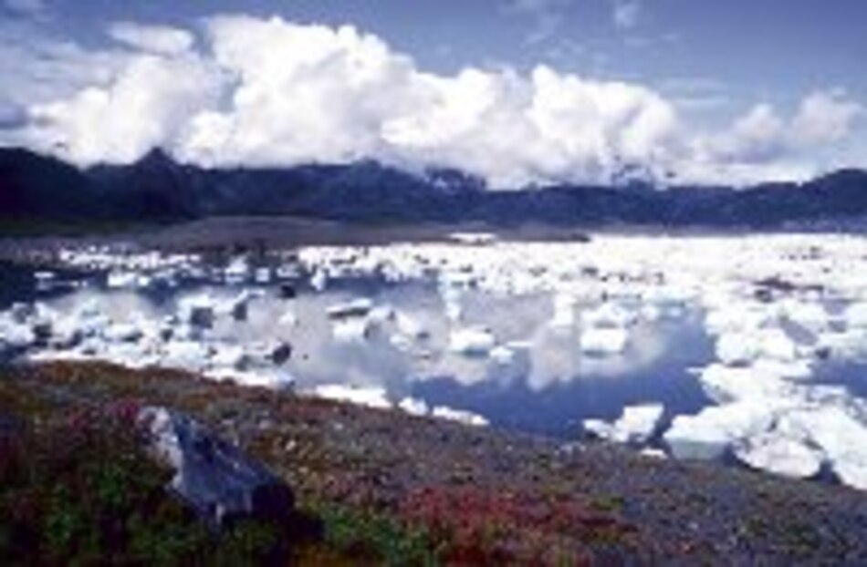 Alerta en el ártico