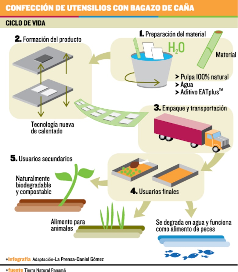 Bioplásticos: ¿los polímeros del futuro?