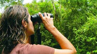 Global Big Day, una cita con aves