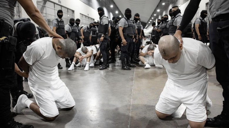 La brutalidad en la megacárcel de Bukele que denuncian 8 de los venezolanos deportados por Estados Unidos: ‘bienvenidos al cementerio de hombres vivos’